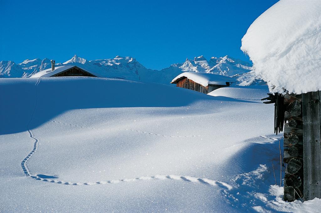 Chalet Zamang Schruns Exterior foto